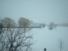 blizzard-3